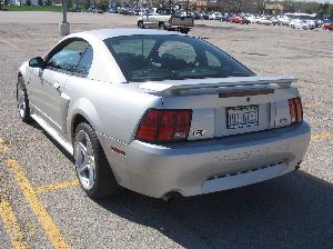 Mustang 008.jpg